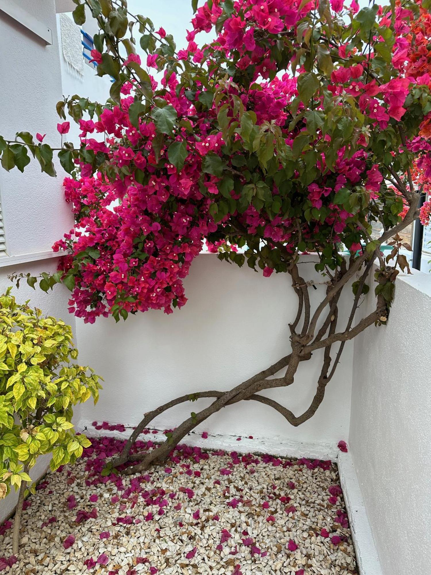 דירות אגווה אמרגה Arto Blanco מראה חיצוני תמונה